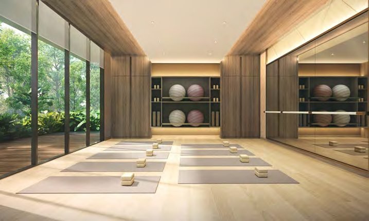 Thomson Reserve — the Wellness Studio with exercise mats, swiss balls and a mirrored wall